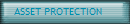 ASSET PROTECTION